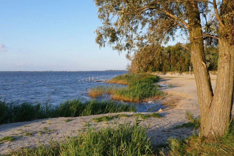 Boddenstrand 300m Haus Fuhlendorf