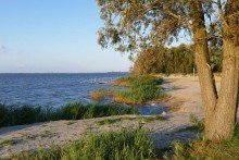 Boddenstrand 300m von Privat Der Traum vom Restaurant-Pension am Bodstedter Bodden & Hafen von Bodstedt-Fuhlendorf