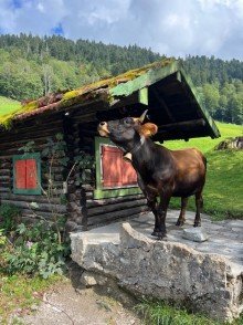 Wandern_in-Garmisch_Partenkirchen Charmantes, voll m�bliertes Dachgeschoss� ruhig, zentral & clever geschnitten � Privatverkauf